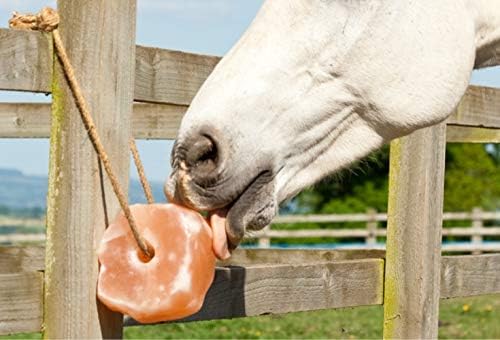 himalayan salt block for horses