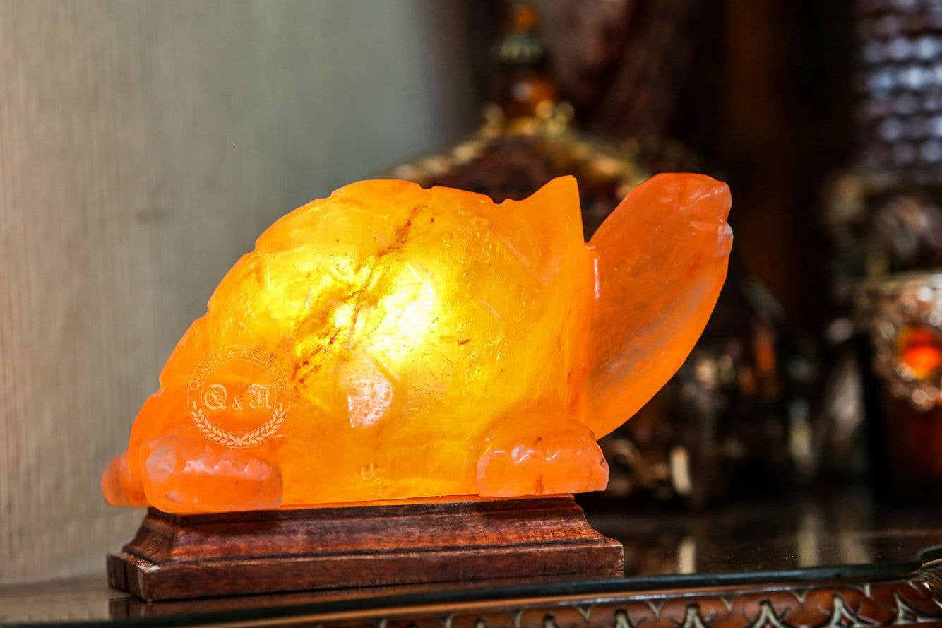 Himalayan Salt Turtle Lamp Ali Salt Store