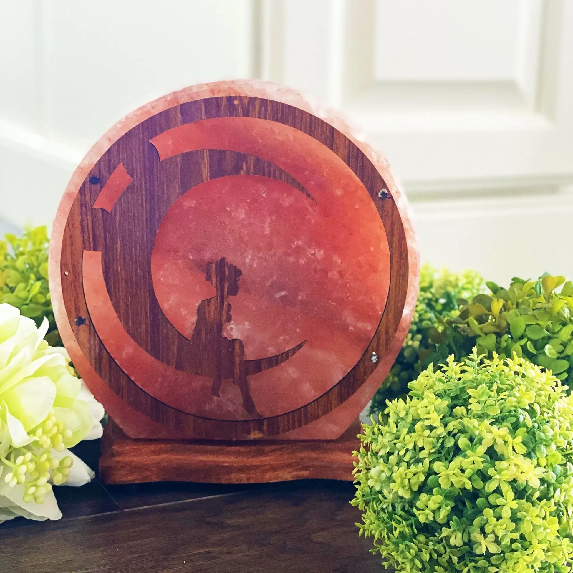 Himalayan Salt Fairy Sitting On The Moon Lamp Ali Salt Store