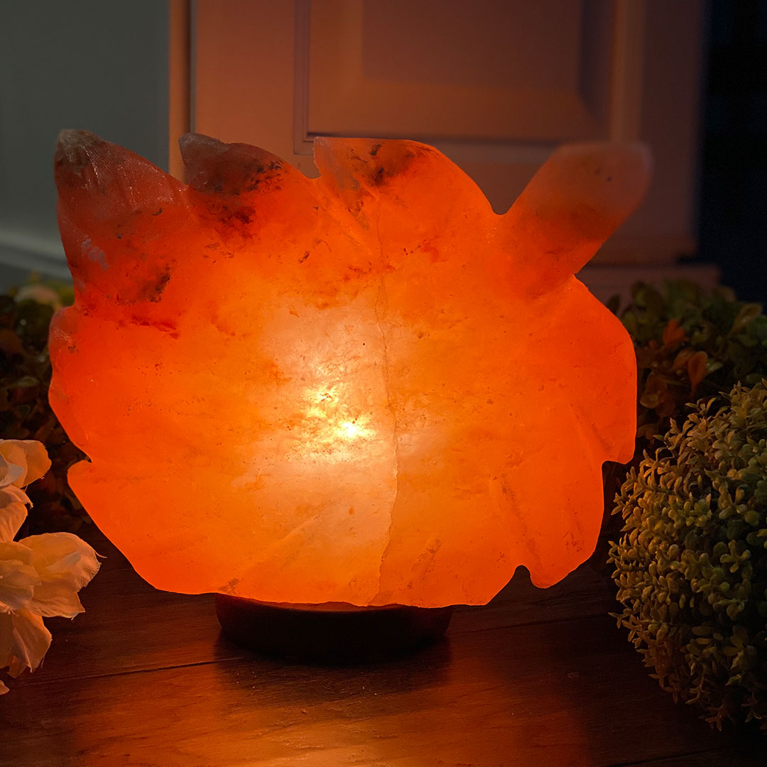 100% Natural Himalayan Salt Lamp Saguaro Cactus 8lbs