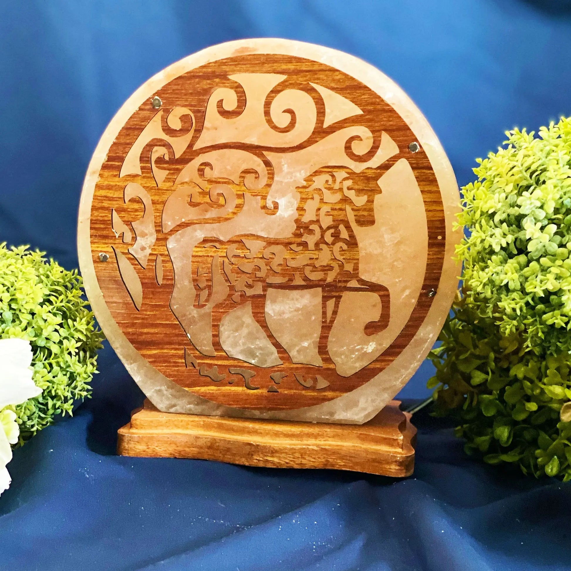 Himalayan Salt Unicorn Horse Lamp Ali Salt Store