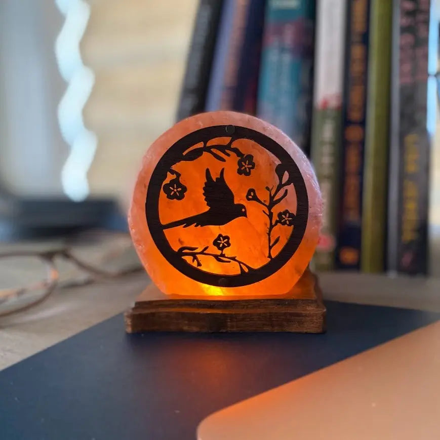 Spring Meadows USB Plugin Himalayan Salt Lamp Ali Salt Store