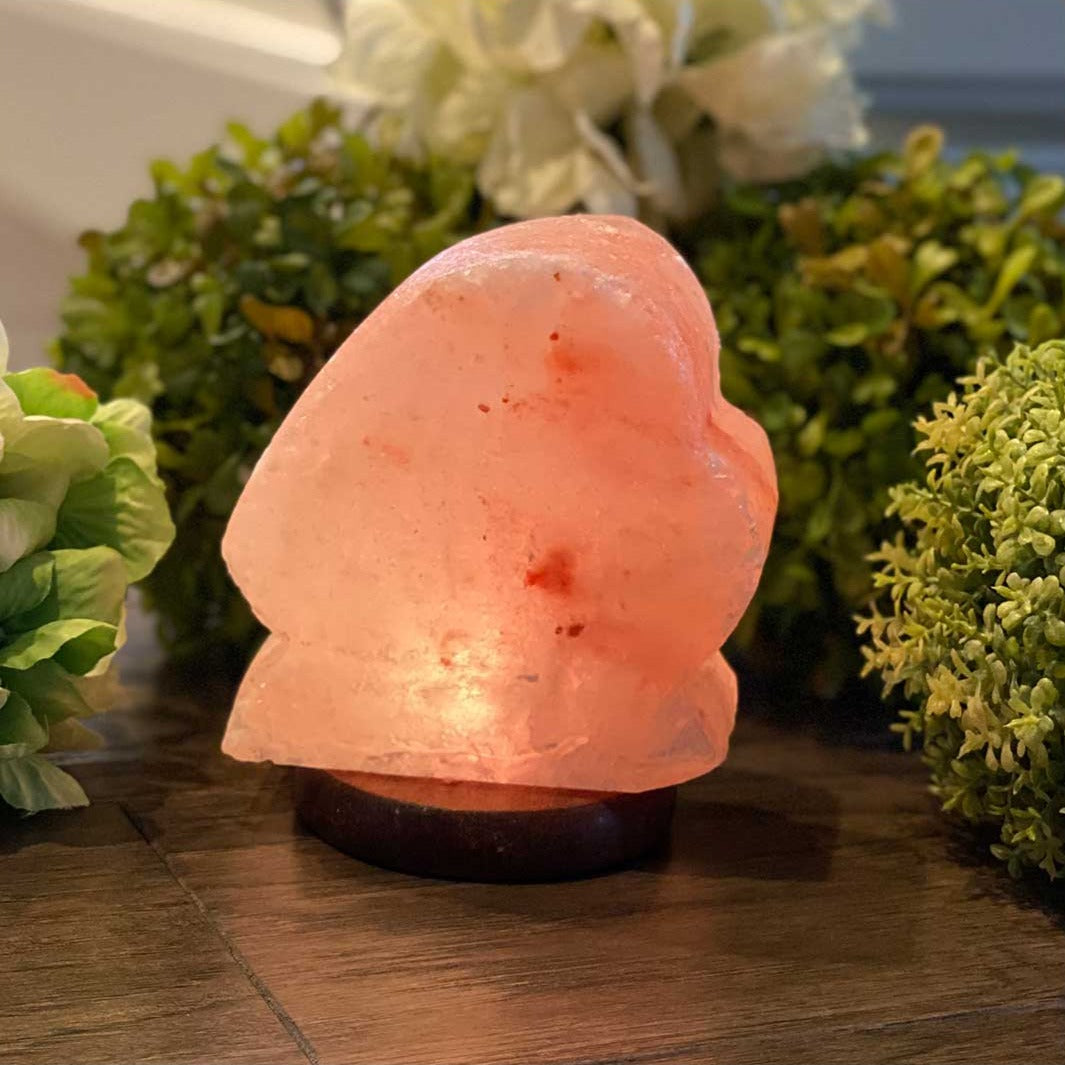 Himalayan Salt Mini Love Boat USB Lamp Ali Salt Store
