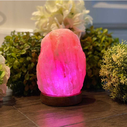 Himalayan Salt USB Lamp Ali Salt Store