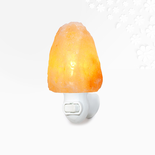 Himalayan Salt Night Light Ali Salt Store