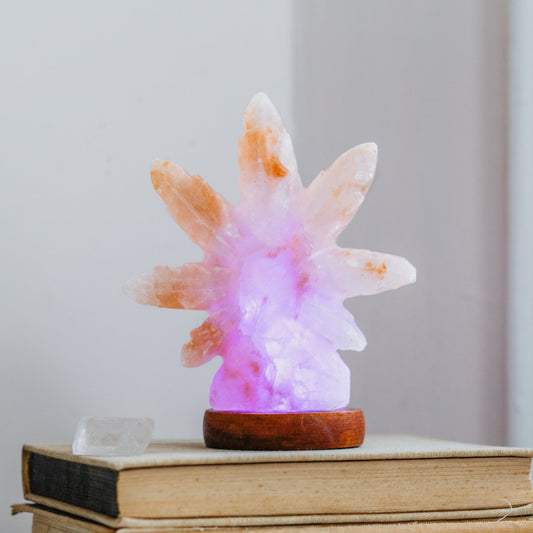 Himalayan Salt Hemp Leaf Mini USB Lamp Ali Salt Store