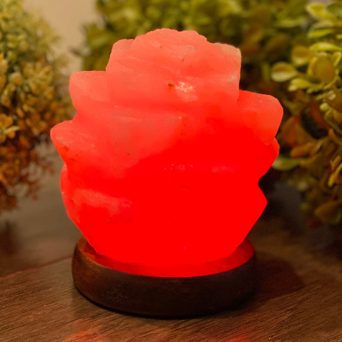 Himalayan Salt Mini Succulent Salt Lamp Ali Salt Store