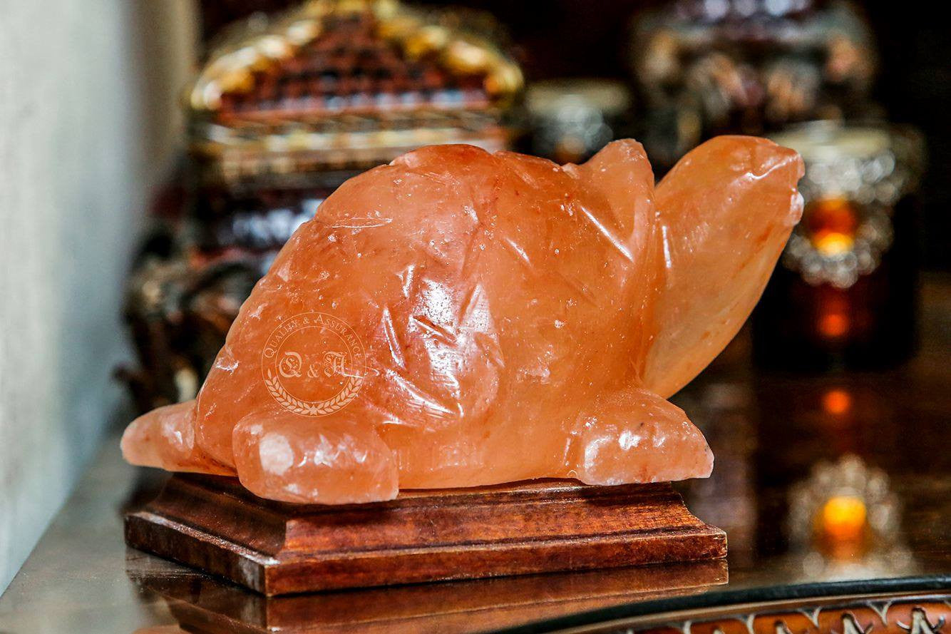 Himalayan Salt Turtle Lamp Ali Salt Store