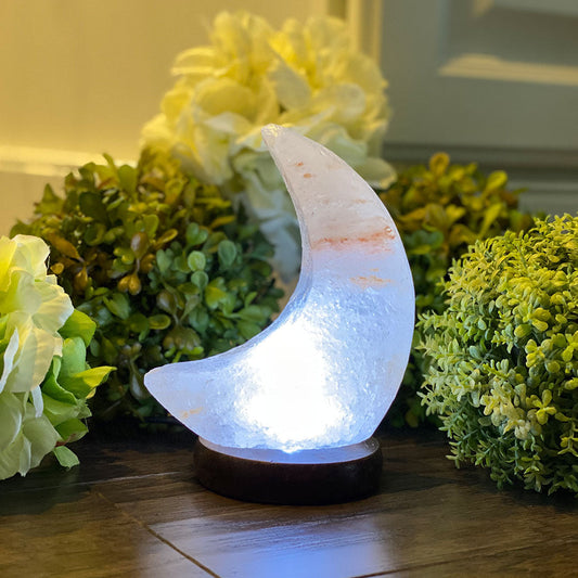 Moon USB Himalayan Salt Lamp Ali Salt Store