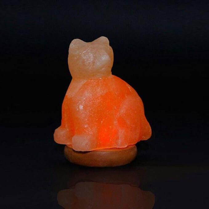 Himalayan Salt Mini Cat USB Lamp Ali Salt Store