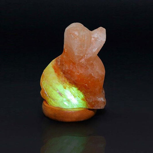 Himalayan Salt Mini Dog Salt Lamp Ali Salt Store