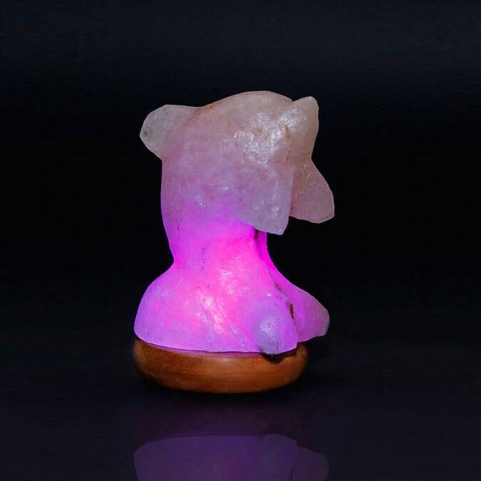 Himalayan Salt Mini Dolphin Salt Lamp Ali Salt Store