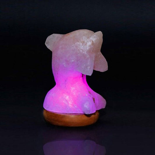 Himalayan Salt Mini Dolphin Salt Lamp Ali Salt Store