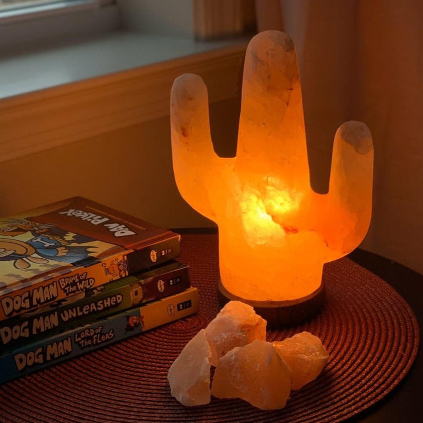 100% Natural Himalayan Salt Lamp Saguaro Cactus 8lbs