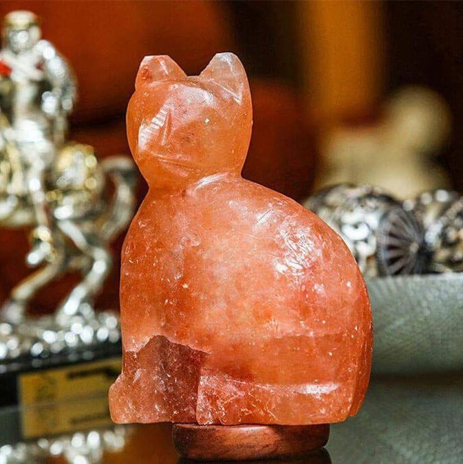 Himalayan Salt Cat Lamp Ali Salt Store