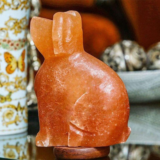 Himalayan Salt Lamp Dog 8lbsHimalayan Salt Lamp Dog 8lbs