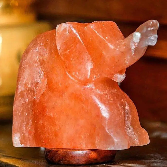 100% Natural Himalayan Salt Lamp Elephant 8lbs Ali Salt Store