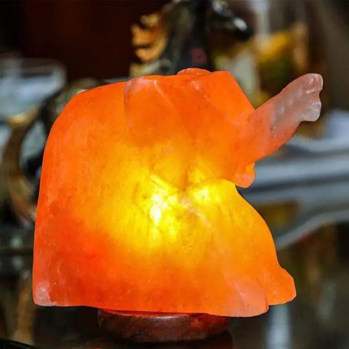 100% Natural Himalayan Salt Lamp Elephant 8lbs Ali Salt Store