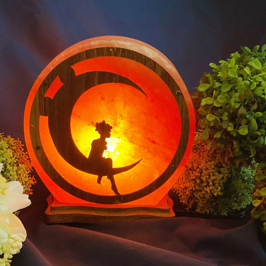 Himalayan Salt Fairy Sitting On The Moon Lamp Ali Salt Store