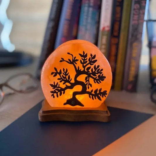 Serenity USB Plugin Himalayan Salt Lamp Ali Salt Store