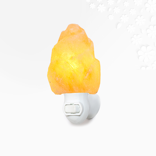 Himalayan Salt Rose Petal Night Light Ali Salt Store
