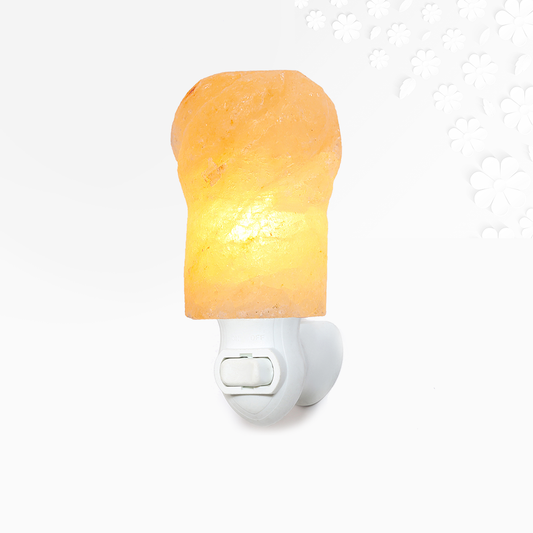 Himalayan Salt Torch Night Light Ali Salt Store