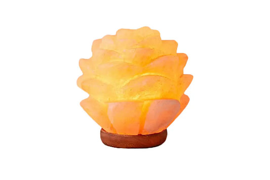 Himalayan Salt Succulent Lamp Ali Salt Store
