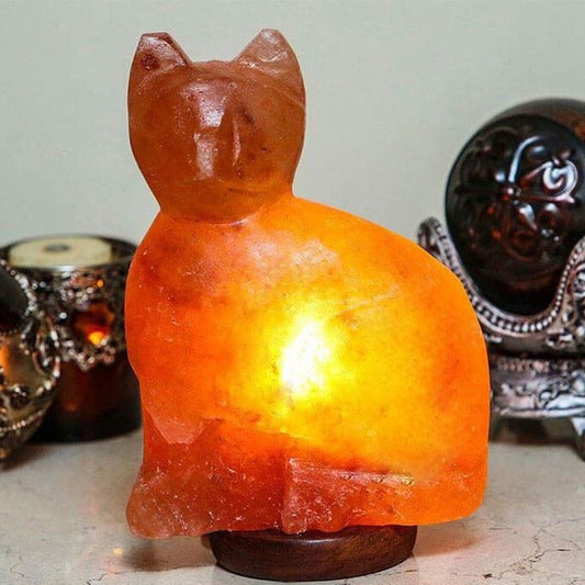 Himalayan Salt Cat Lamp Ali Salt Store