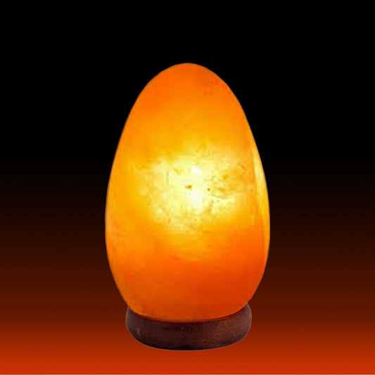 Himalayan Salt Egg Lamp Ali Salt Store