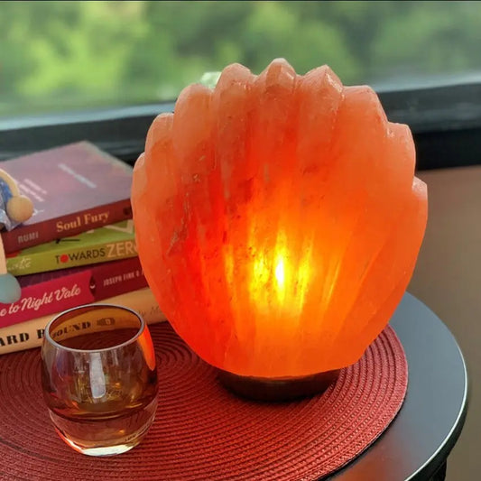 Sea Shell Himalayan Salt Lamp Ali Salt Store